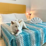 Crystal Con Piscina Estiva Privata רימיני