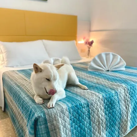 Hotel Crystal - Spiaggia Inclusa Con Pacchetti Personalizzati Rimini