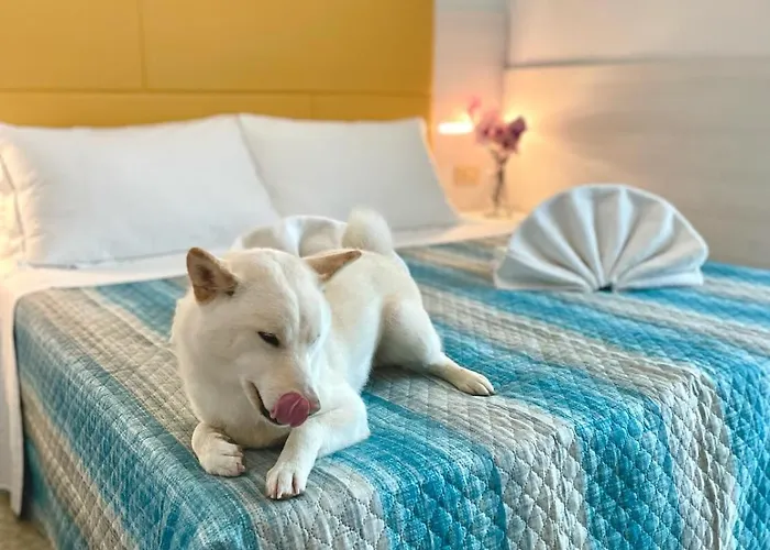 Crystal Con Piscina Estiva Privata 리미니