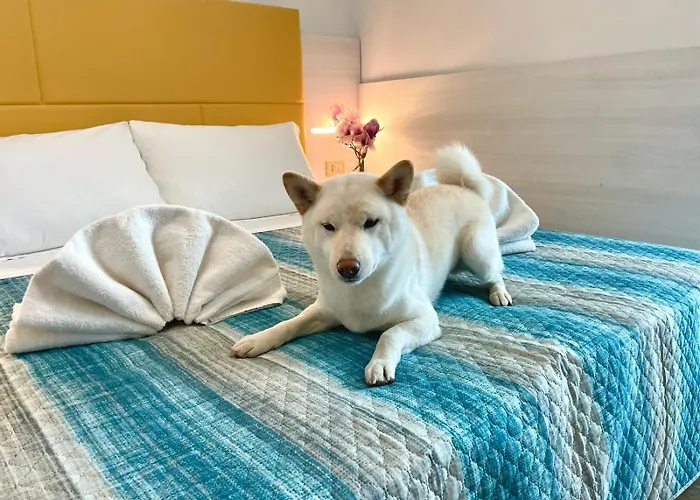 Hotel Crystal - Inclusa Con Pacchetti Personalizzati