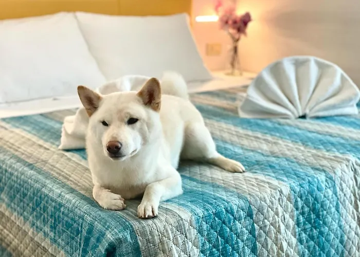 Crystal Con Piscina Estiva Privata - Inclusa Con Formula 3*